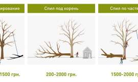 Обрезка деревьев в Харькове	